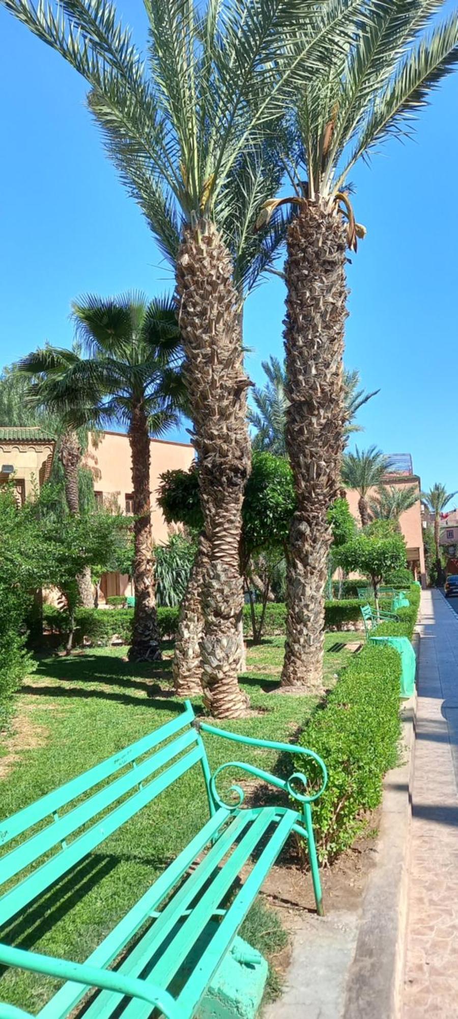 Riad Al-Bushra Марракеш Экстерьер фото