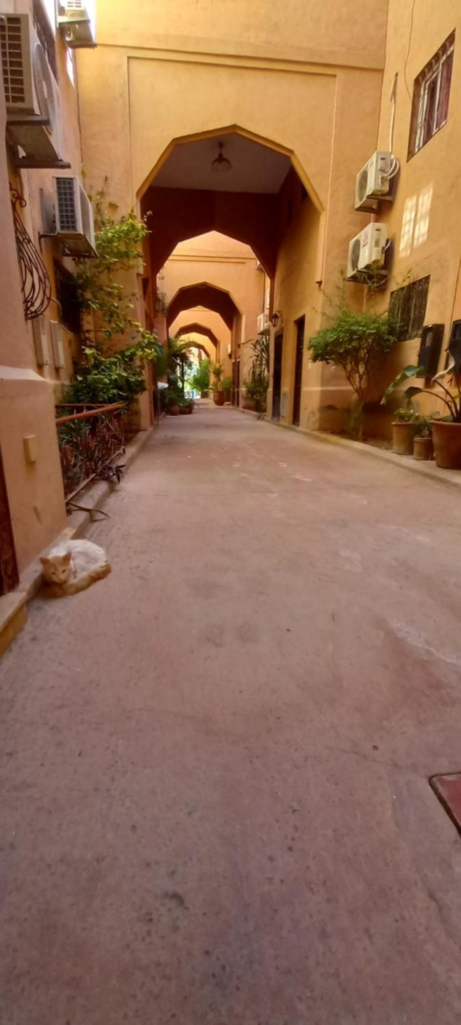 Riad Al-Bushra Марракеш Экстерьер фото